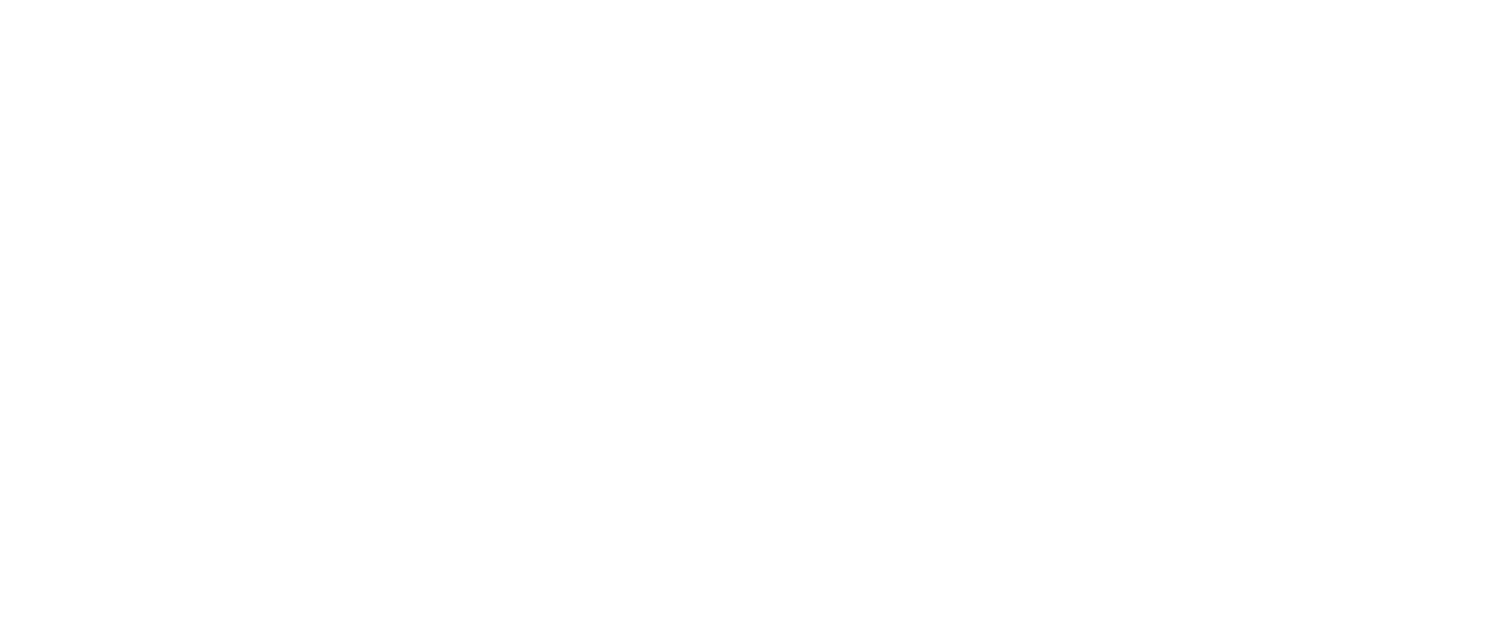 Chicago Journal